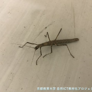 s-IMG 1376%201